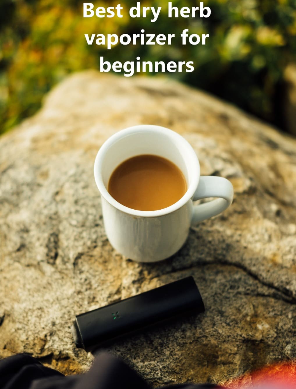 Best Dry Herb Vaporizer 2021 Gift Guide